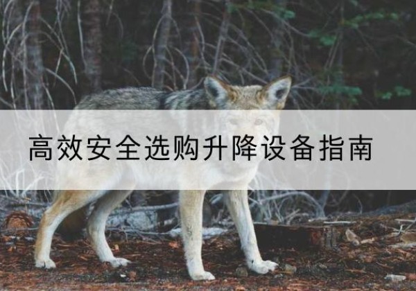 易县升降货梯厂家推荐-*安全选购升降设备指南