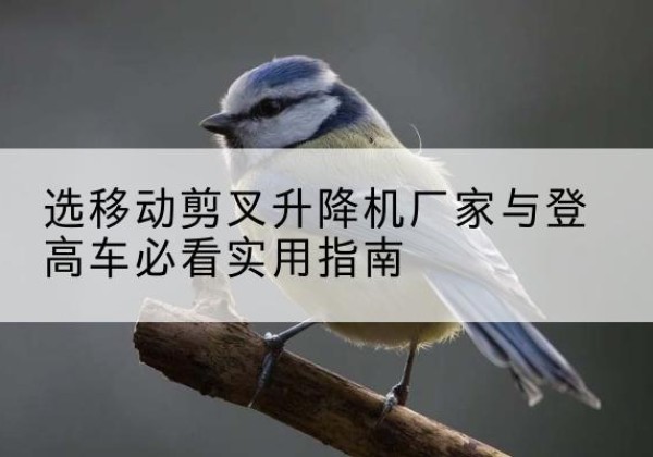 易县电动升降机厂家-选移动剪叉升降机厂家与登高车必看实用指南